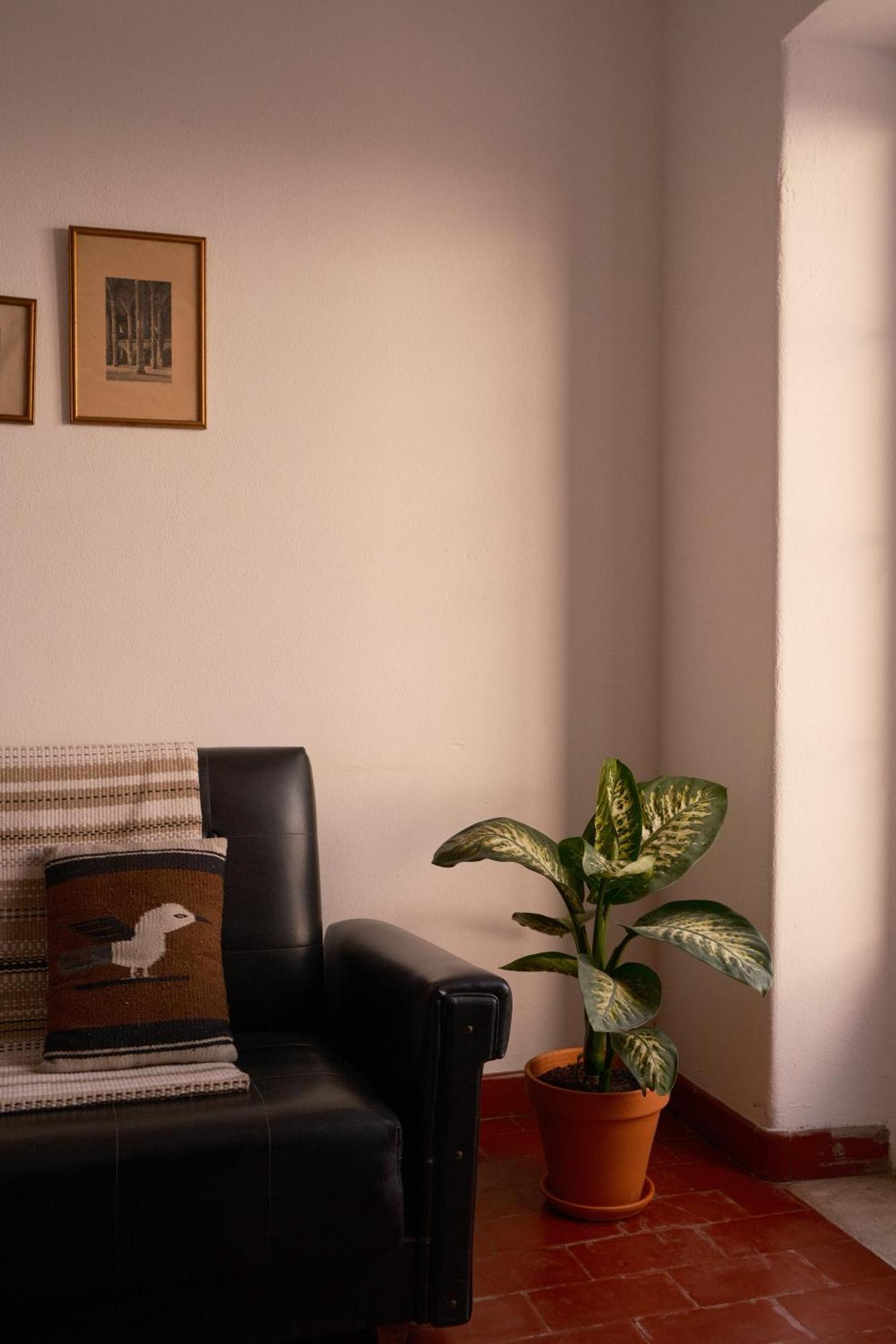 Manas Coliving Daire Sines Dış mekan fotoğraf